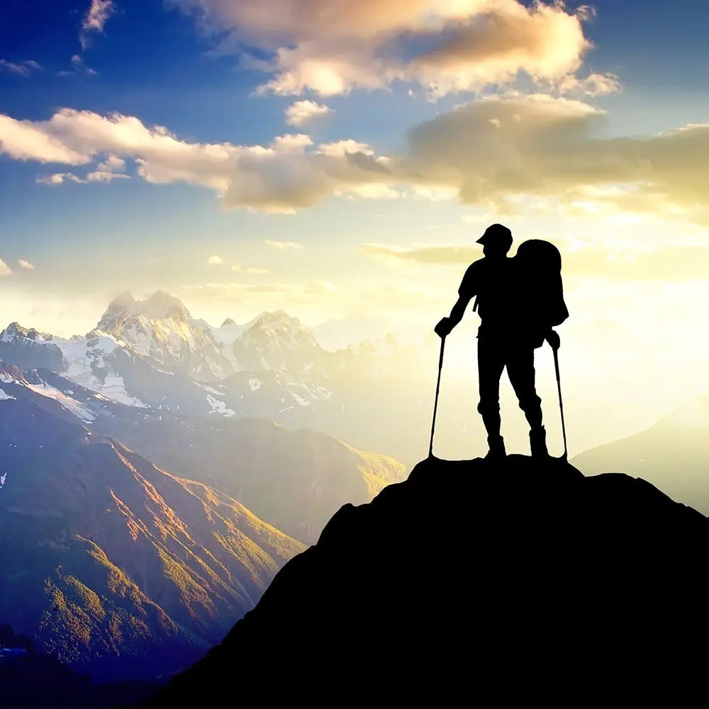 SummitForce™ Dual Trekking Poles – Tactical Stability for the Rugged Outdoors